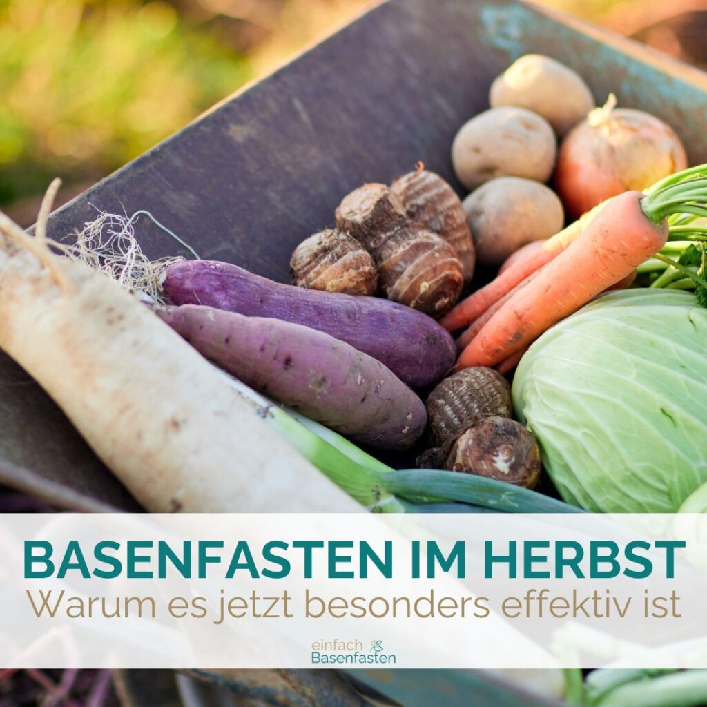 Basenfasten im Herbst - warum es jetzt besonders effektiv ist. Ein Blogbeitrag von Stephie Rahn von einfach Basenfasten