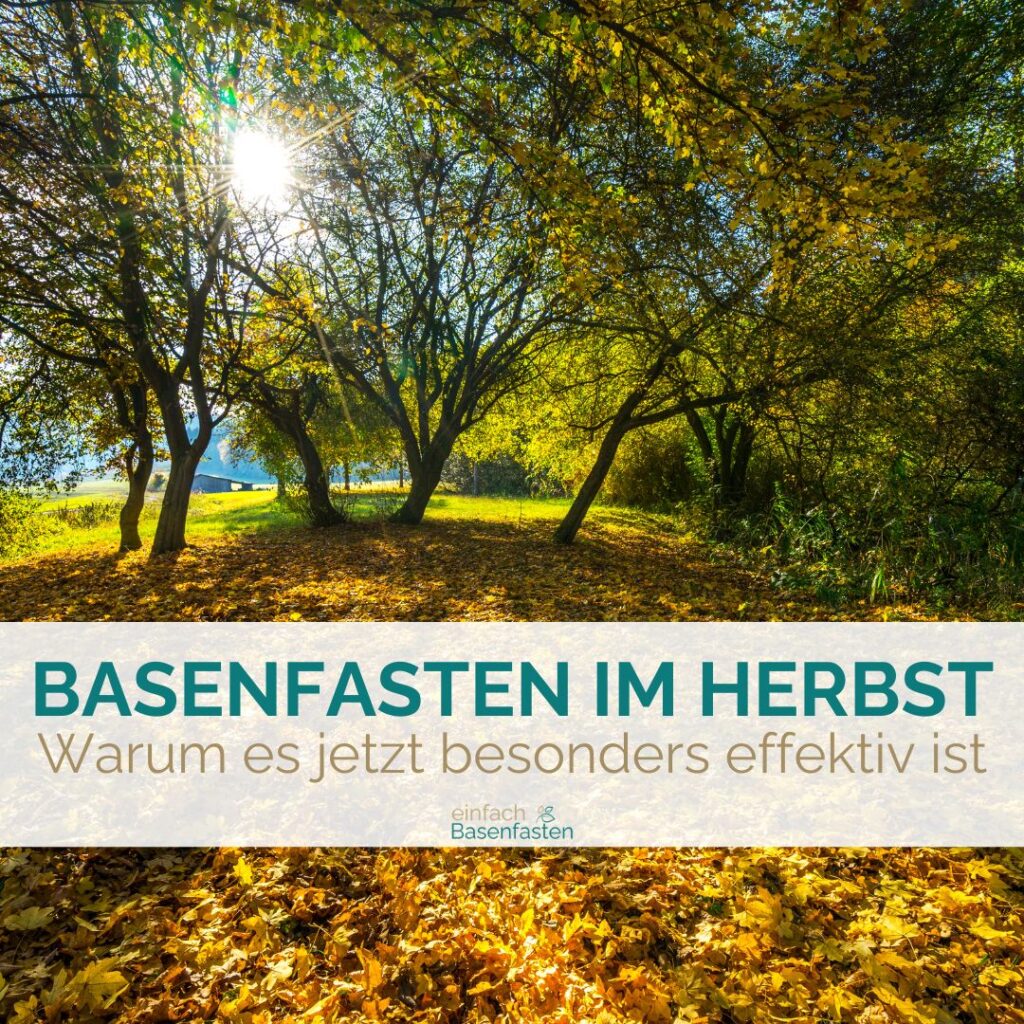 Basenfasten im Herbst - warum es jetzt besonders effektiv ist. Ein Blogbeitrag von Stephie Rahn von einfach Basenfasten