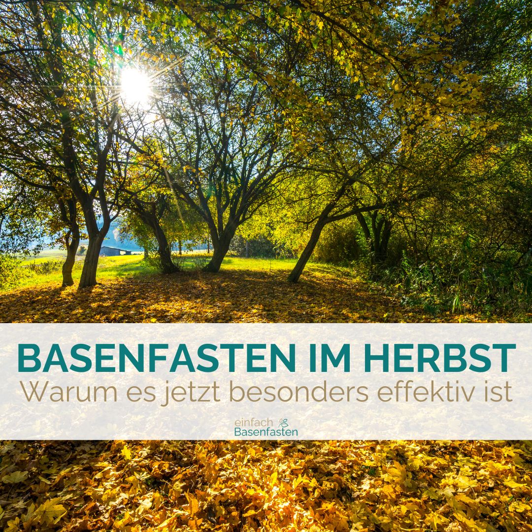 Basenfasten im Herbst - warum es jetzt besonders effektiv ist. Von einfach Basenfasten